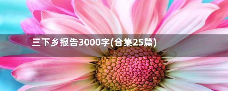 三下乡报告3000字(合集25篇)