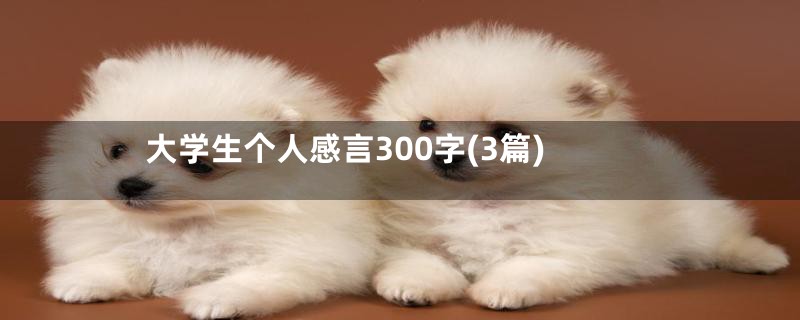 大学生个人感言300字(3篇)