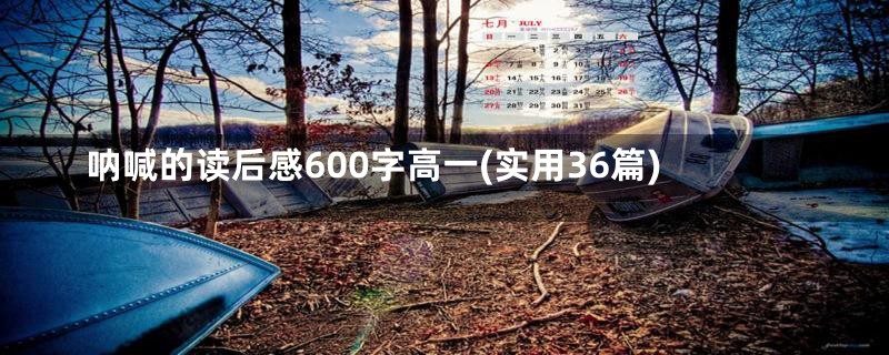 呐喊的读后感600字高一(实用36篇)