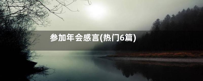 参加年会感言(热门6篇)