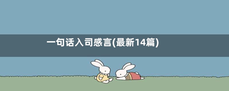 一句话入司感言(最新14篇)