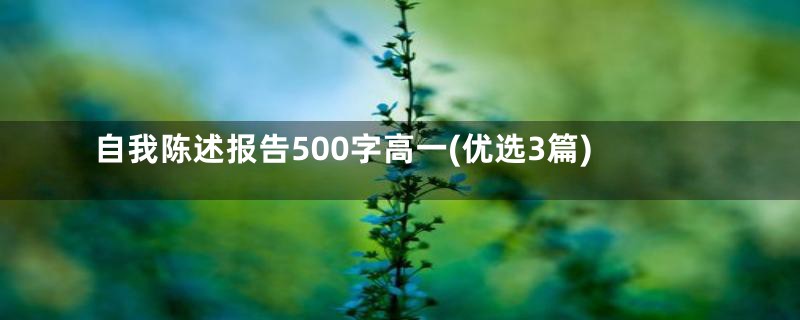 自我陈述报告500字高一(优选3篇)