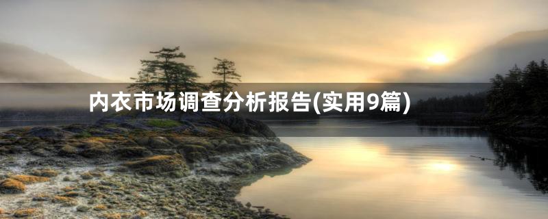 内衣市场调查分析报告(实用9篇)
