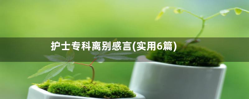 护士专科离别感言(实用6篇)