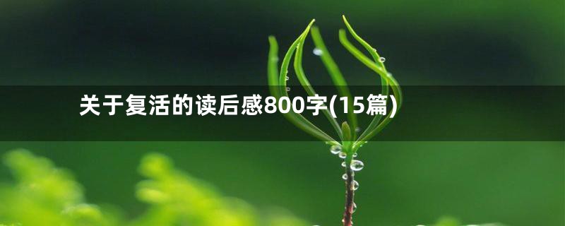 关于复活的读后感800字(15篇)