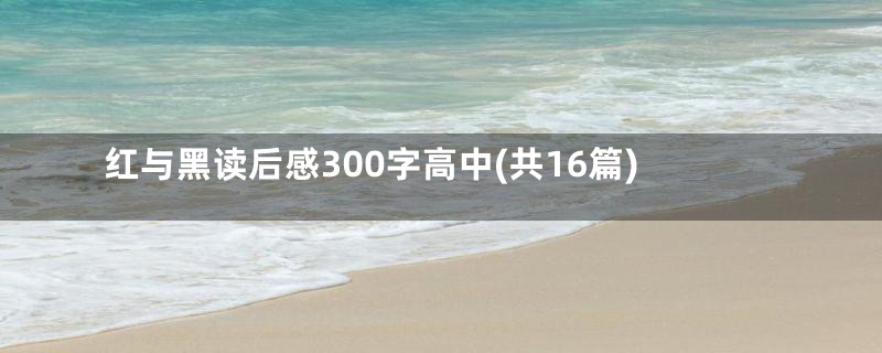 红与黑读后感300字高中(共16篇)