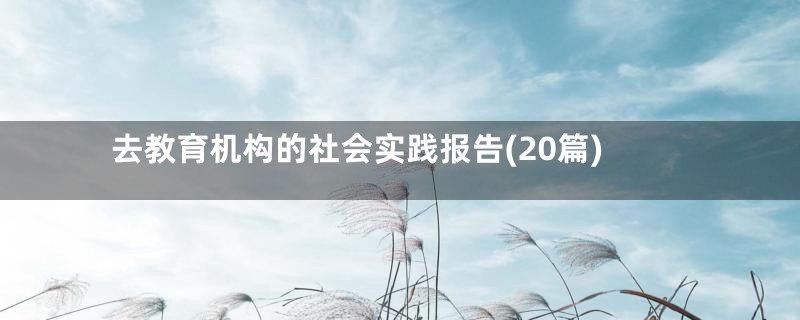 去教育机构的社会实践报告(20篇)