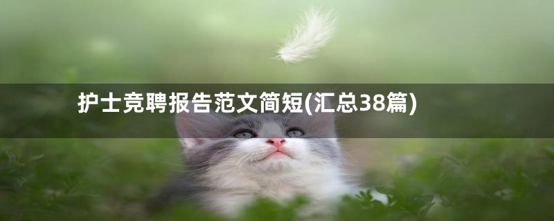 护士竞聘报告范文简短(汇总38篇)