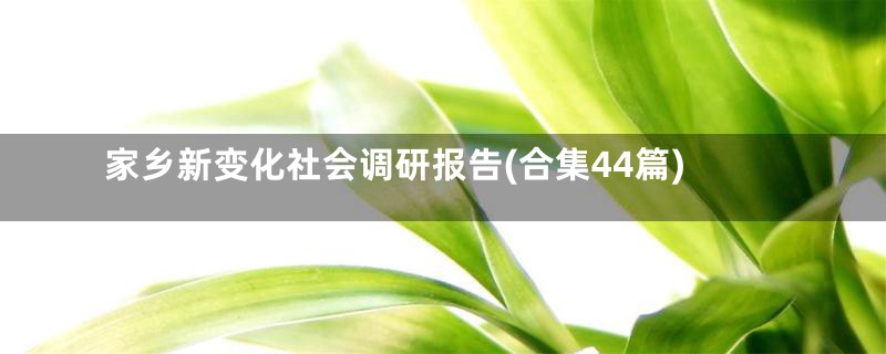 家乡新变化社会调研报告(合集44篇)