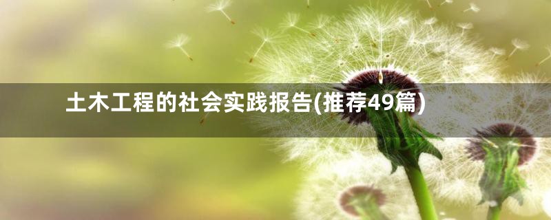 土木工程的社会实践报告(推荐49篇)