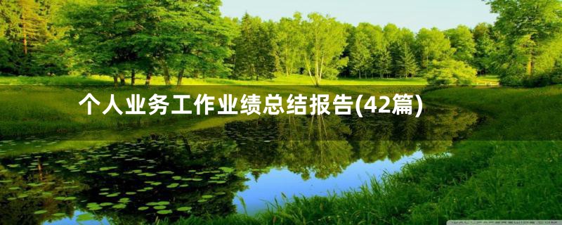 个人业务工作业绩总结报告(42篇)