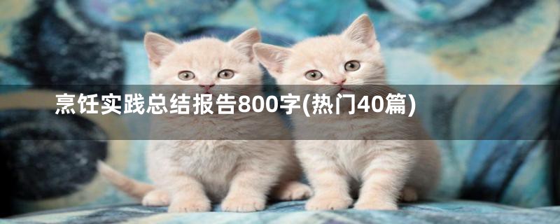 烹饪实践总结报告800字(热门40篇)