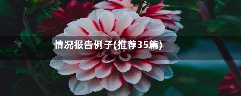 情况报告例子(推荐35篇)