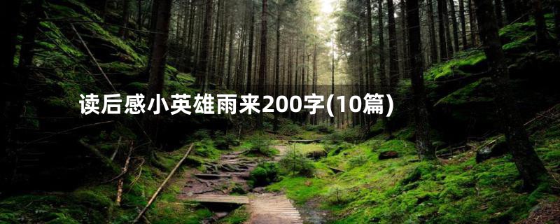 读后感小英雄雨来200字(10篇)