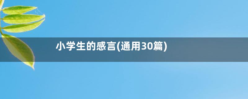 小学生的感言(通用30篇)