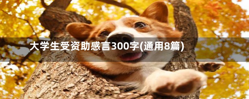 大学生受资助感言300字(通用8篇)