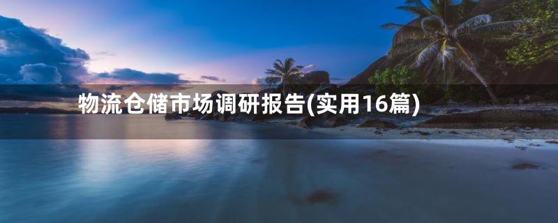 物流仓储市场调研报告(实用16篇)