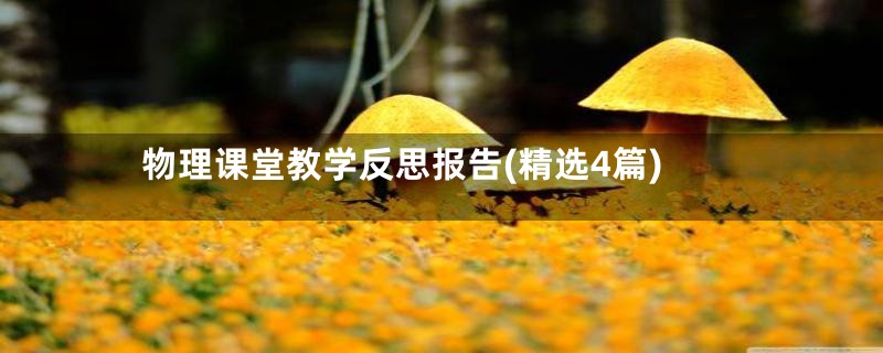 物理课堂教学反思报告(精选4篇)