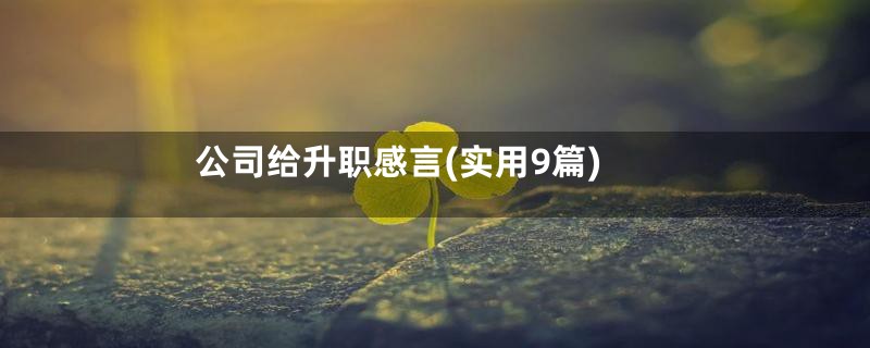 公司给升职感言(实用9篇)