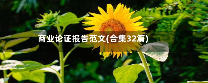 商业论证报告范文(合集32篇)