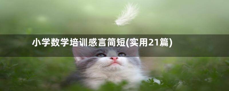 小学数学培训感言简短(实用21篇)