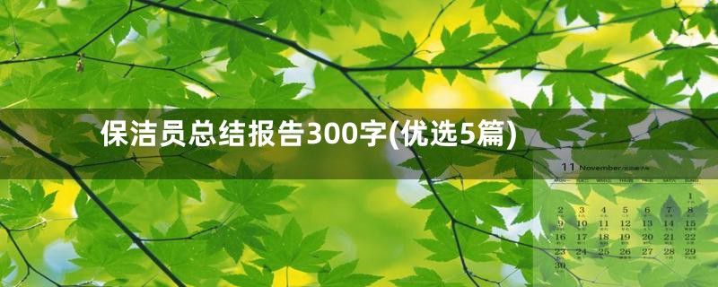 保洁员总结报告300字(优选5篇)