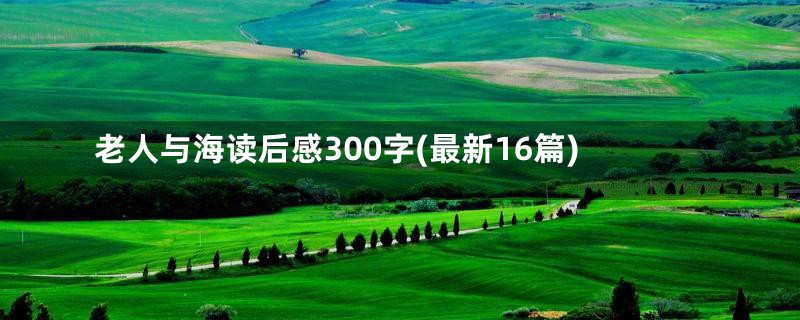 老人与海读后感300字(最新16篇)