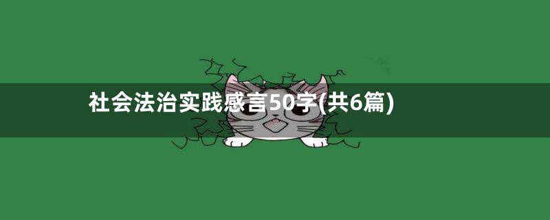 社会法治实践感言50字(共6篇)