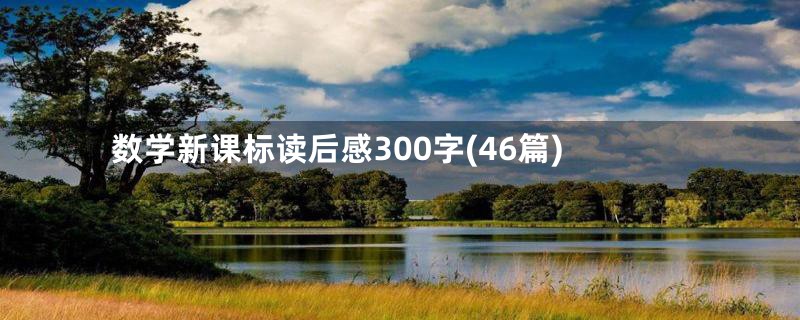 数学新课标读后感300字(46篇)