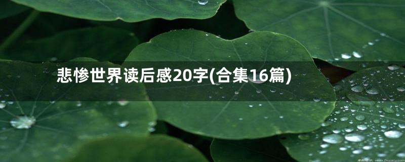 悲惨世界读后感20字(合集16篇)