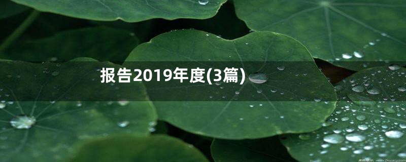 报告2019年度(3篇)