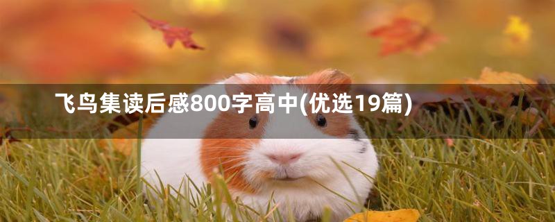 飞鸟集读后感800字高中(优选19篇)