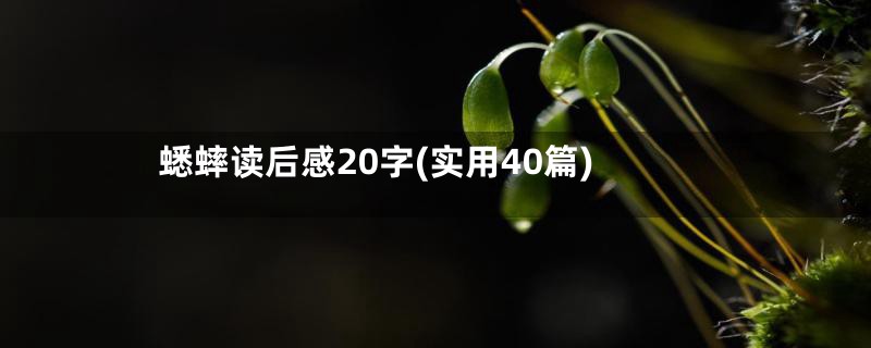 蟋蟀读后感20字(实用40篇)