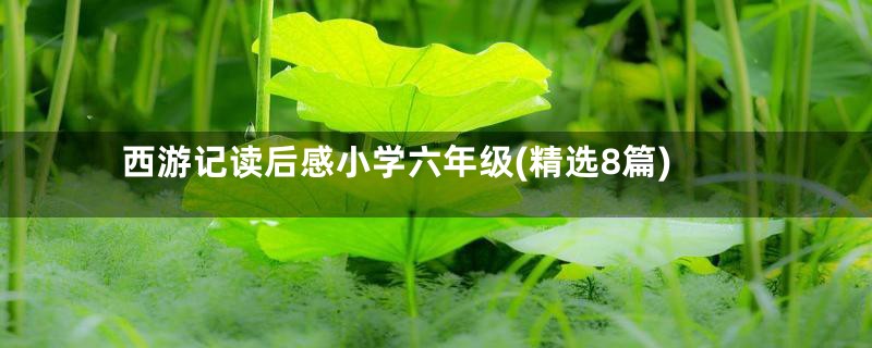 西游记读后感小学六年级(精选8篇)