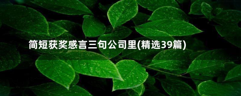 简短获奖感言三句公司里(精选39篇)