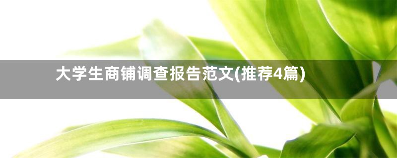 大学生商铺调查报告范文(推荐4篇)