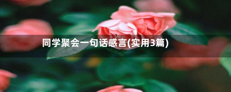 同学聚会一句话感言(实用3篇)